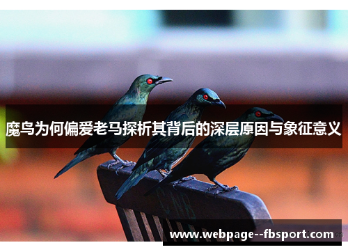 魔鸟为何偏爱老马探析其背后的深层原因与象征意义